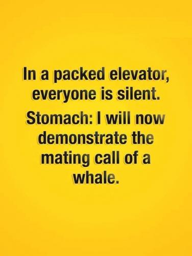 18:05:39 GMT-0500 (EST)