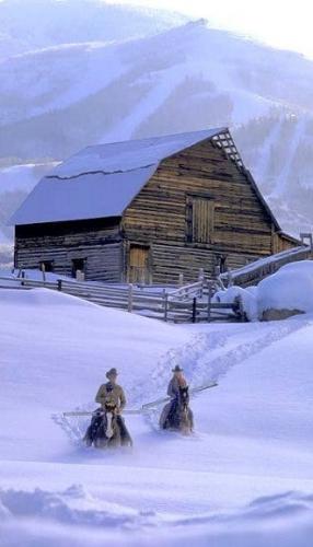 130900581_382461556166455_826142713142359328_n