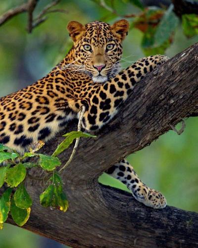 129957043_1117104758729371_999445375354007702_o