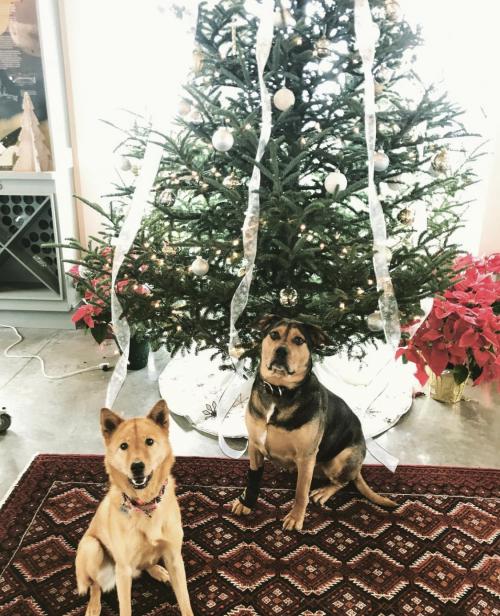 20:03:16 GMT+0100 (WAT).image