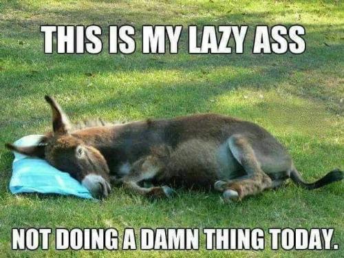 11:43:23 GMT-0600 (CST).image