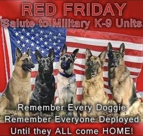 06:14:30 GMT-0600 (CST).image