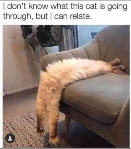 17:29:02 GMT-0500 (EST)