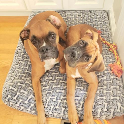 00:24:26 GMT-0600 (CST)