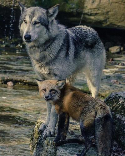 131664293_217582739935760_9115732722966384359_n