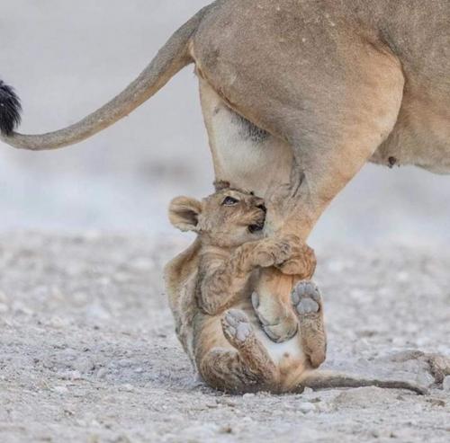 03:44:30 GMT-0600 (CST)