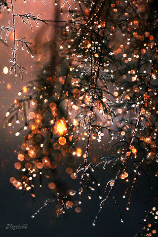 19:58:31 GMT-0600 (CST)