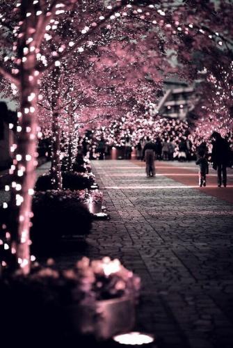 20:33:39 GMT-0600 (CST)