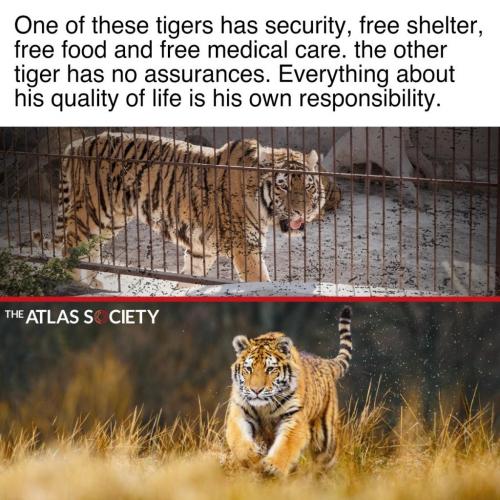 131244376_10158882195800351_8124429224783755195_o