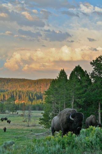 122028947_10214339865530681_8221003474638734382_n