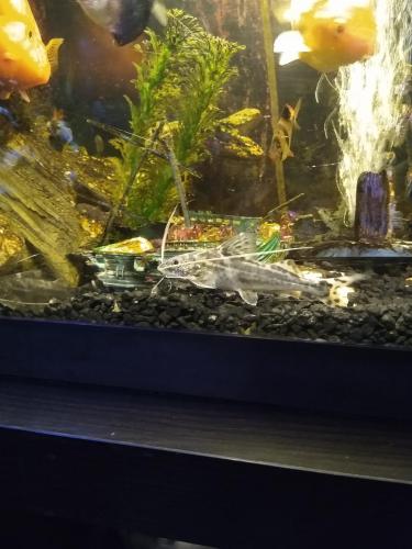 05:14:45 GMT-0600 (CST)