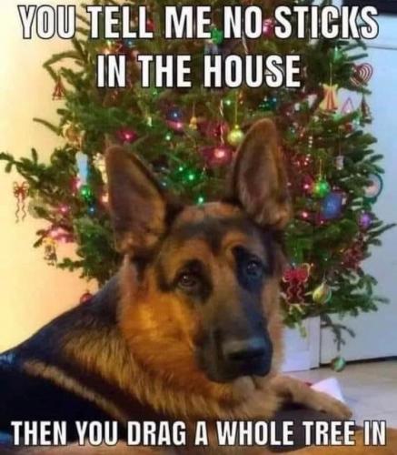 09:58:02 GMT-0700 (MST).image