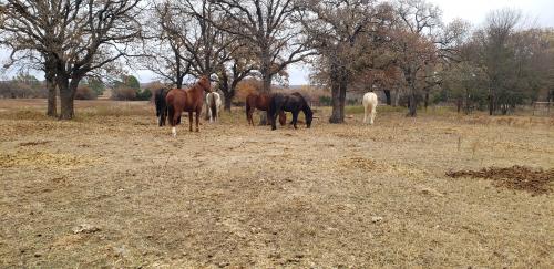 10:03:10 GMT-0600 (CST)