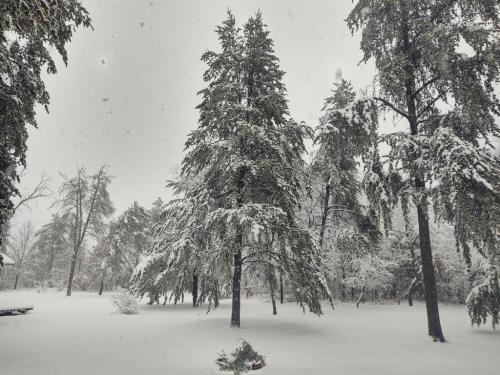 12:46:40 GMT-0500 (EST)