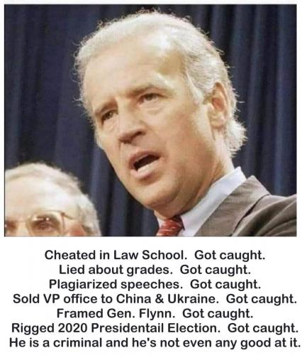 Biden criminal