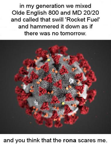 coronavirus1174