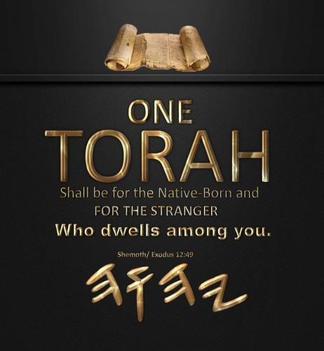 0afef54e8af659188e1081389f796649