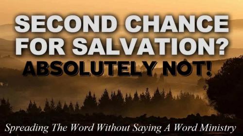 121168888_3295996837166091_7843373919455908798_o