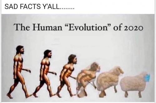 11:08:10 GMT-0800 (PST).image