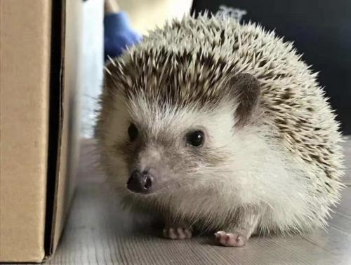 13:56:29 GMT+0100 (WAT).image