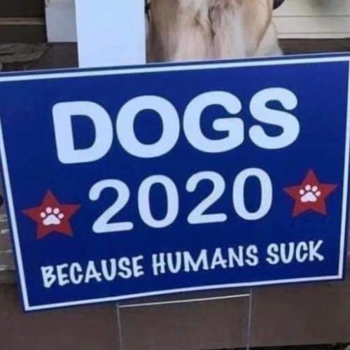 13:38:49 GMT-0500 (EST)