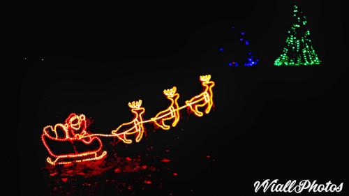 IMG_20181201_172941650 (1)