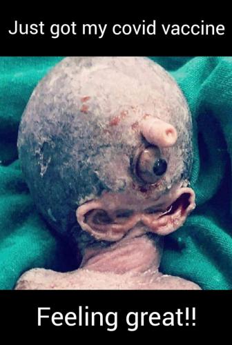 FB_IMG_1607768451445