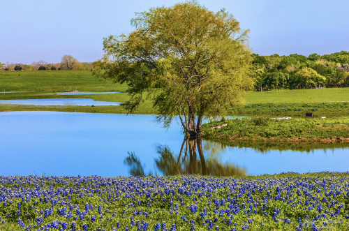 Screen Shot 2020-12-14 at 12.12.37 AM