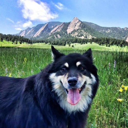 20:40:12 GMT+0100 (WAT)