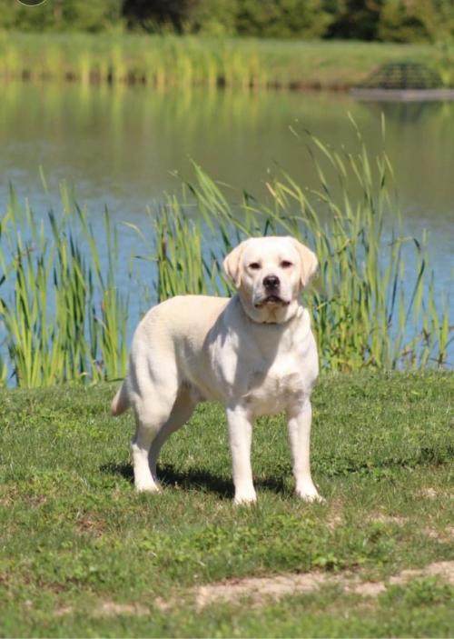 07:07:04 GMT-0800 (PST).image