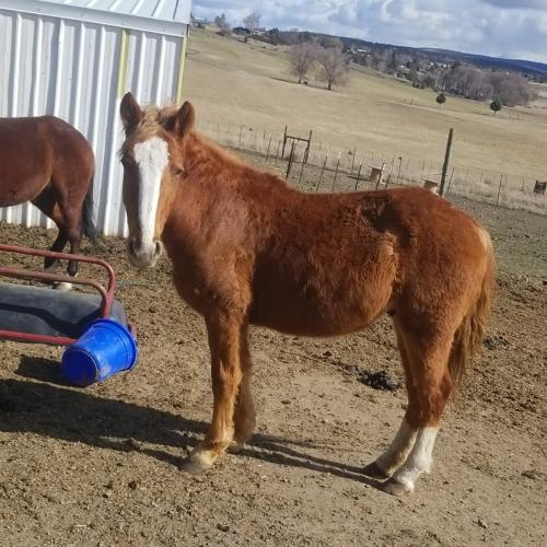 12:45:09 GMT-0800 (PST)