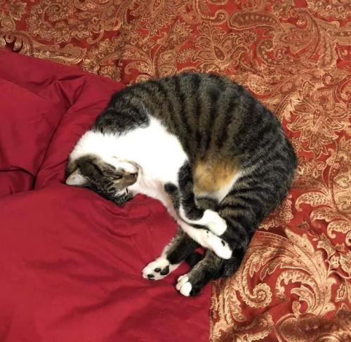 17:31:06 GMT-0700 (MST).image