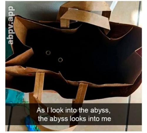 07:44:21 GMT-0600 (CST).image