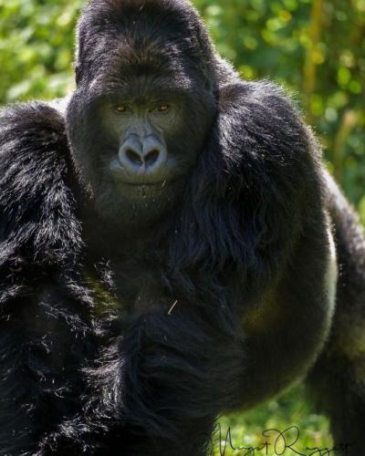 tumblr_7d0486068c4e4120807053d826906289_d5c80389_540