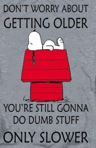 125846649_3563535773685094_4118604088712570698_o