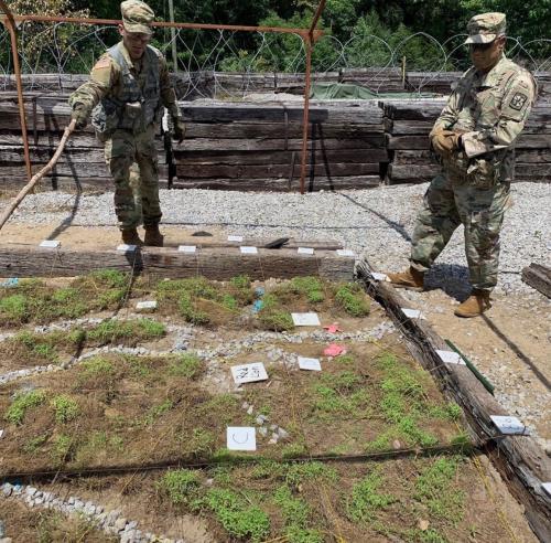 02:28:28 GMT+0100 (WAT).image