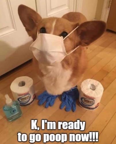 19:39:22 GMT-0500 (EST)