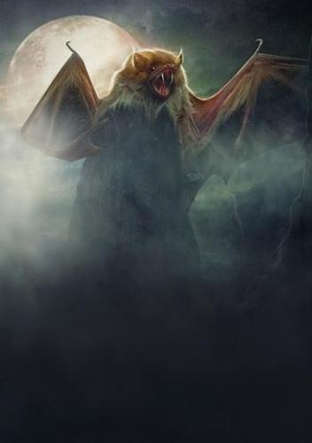 tumblr_637c4773d00e5f0e28f4ced41bd48c4d_eb9903fd_400