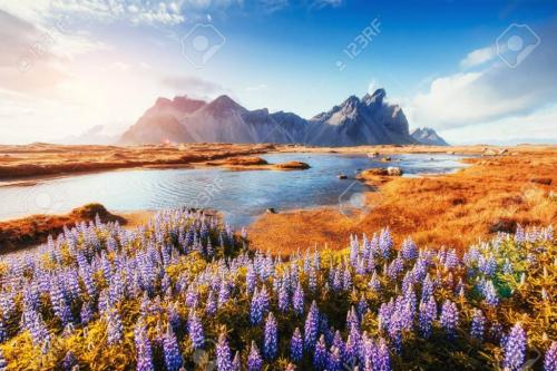 Screenshot 2020-12-23 at 1.46.17 PM