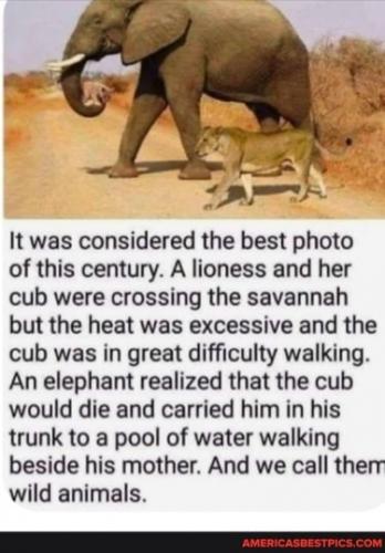 08:27:35 GMT-0600 (CST).image