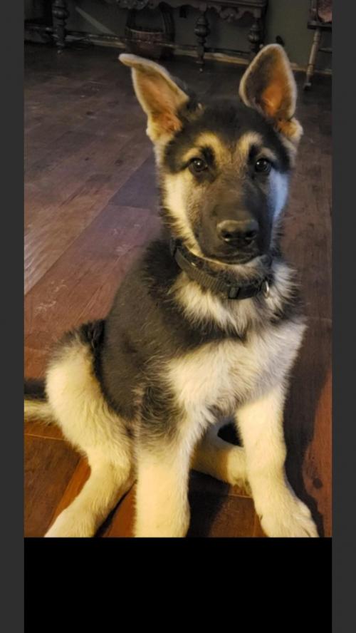 21:14:28 GMT-0500 (EST)