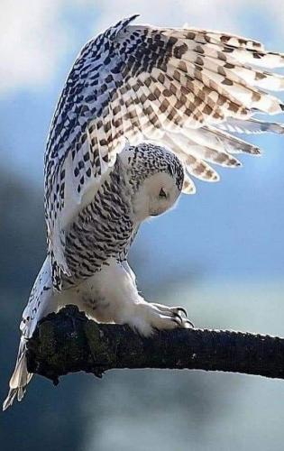 12:35:38 GMT-0600 (CST)