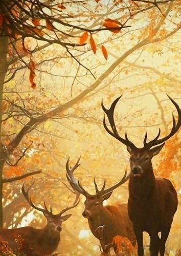 07:01:59 GMT-0600 (CST)