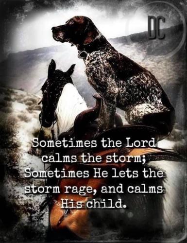 11:41:28 GMT-0600 (CST).image