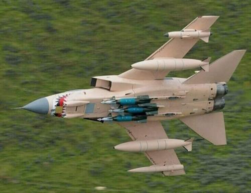 143237501_3706532769432916_5272389781168588571_n