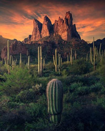 tumblr_3afb22ec247377dc990b47c794095b8d_2476e155_540