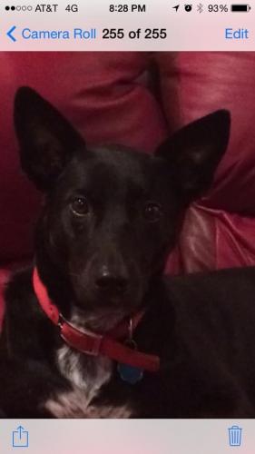 10:20:55 GMT-0600 (CST).image