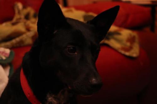 10:04:54 GMT-0600 (CST).image