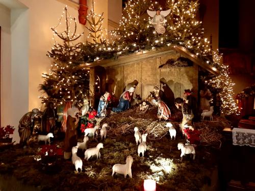 20:25:46 GMT-0500 (EST)