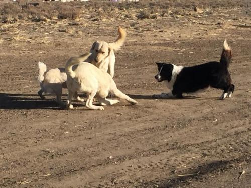 07:56:49 GMT-0800 (PST).image